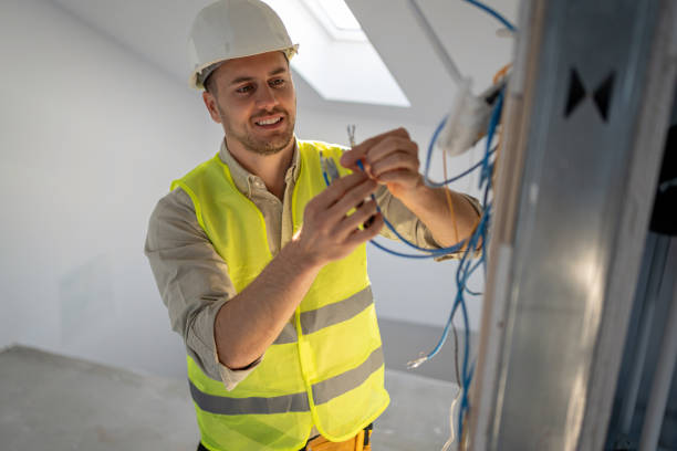 Best Electric Panel Repair  in Palacios, TX